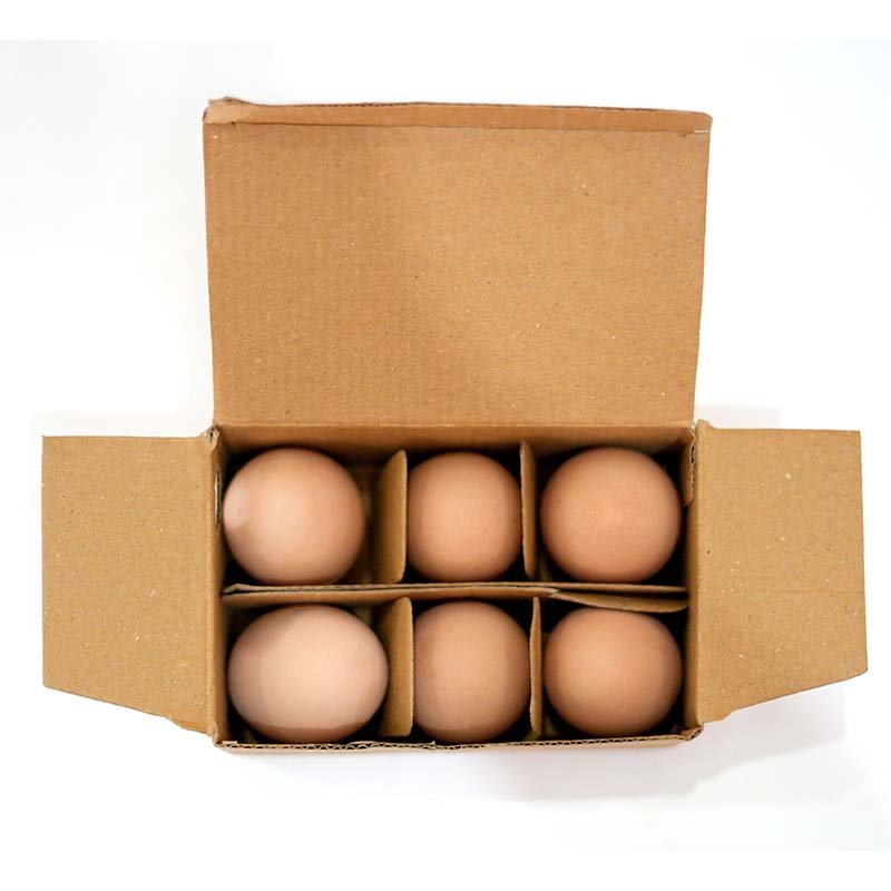 Brown Eggs